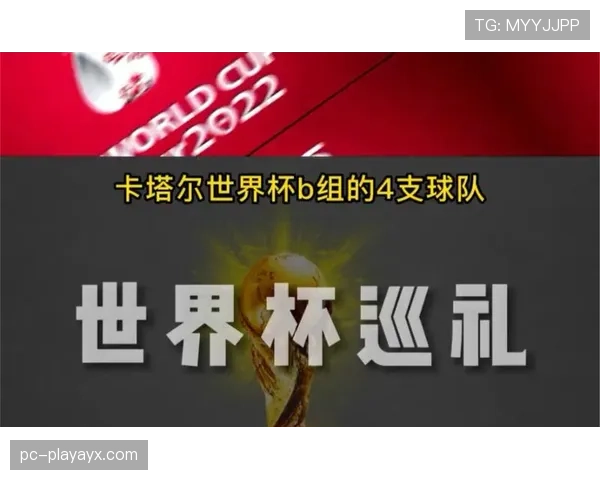 世界杯K组球队优势与短板分析